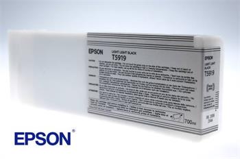 Inkoust Epson T5919 (C13T591900) - originální | světle světle černý