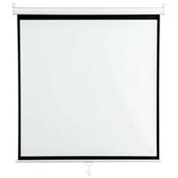 Nástěnné projekční plátno AVELI 130x130 cm (1:1) 72"